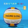 Ballon de volley-ball - Ref 2013314