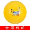 Ballon de volley-ball - Ref 2013317