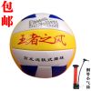 Ballon de volley-ball - Ref 2013642