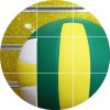 Ballon de volley-ball - Ref 2013810