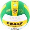 Ballon de volley-ball TRAIN - Ref 2014404