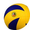 Ballon de volley-ball - Ref 2014650