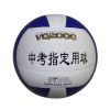 Ballon de volley-ball - Ref 2014914