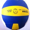 Ballon de volley-ball - Ref 2014917