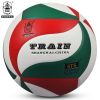 Ballon de volley-ball - Ref 2015017