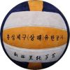 Ballon de volley-ball - Ref 2015168