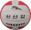 Ballon de volley-ball - Ref 2015231