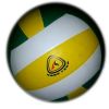 Ballon de volley-ball - Ref 2015319