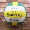 Ballon de volley-ball - Ref 2015458