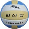 Ballon de volley-ball - Ref 2015465