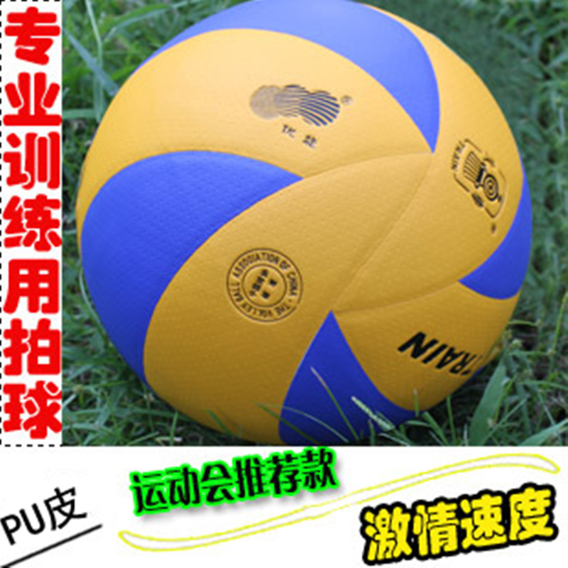 Ballon de volley-ball - Ref 2015506