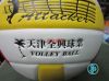 Ballon de volley-ball - Ref 2015710