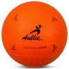 Ballon de volley-ball - Ref 2015748