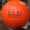 Ballon de volley-ball - Ref 2016194