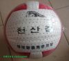 Ballon de volley-ball - Ref 2016213