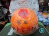 Ballon de volley-ball - Ref 2016304