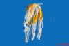 Ballon de volley-ball - Ref 2016458