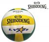 Ballon de volley-ball - Ref 2016664
