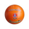 Ballon de volley-ball - Ref 2016704