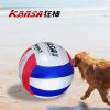 Ballon de volley-ball - Ref 2016709