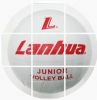 Ballon de volley - Ref 2008057