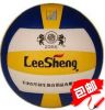 Ballon de volley - Ref 2008058