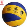 Ballon de volley - Ref 2008078