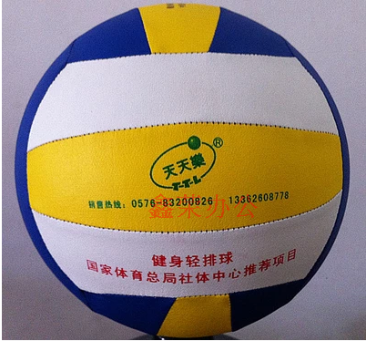 Ballon de volley - Ref 2008085