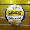 Ballon de volley - Ref 2008103