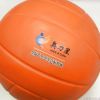 Ballon de volley - Ref 2008141