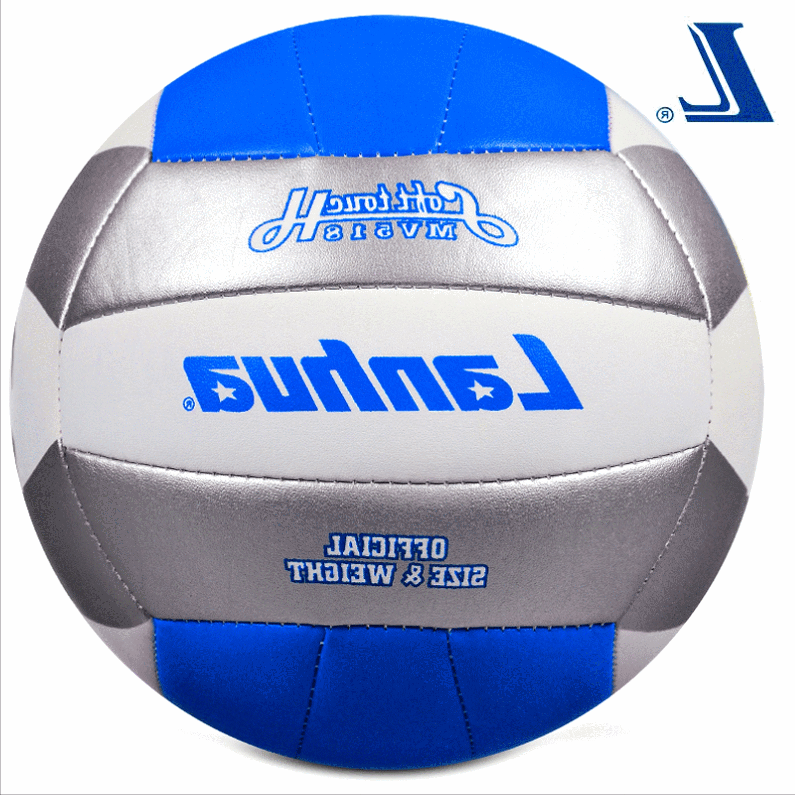 Ballon de volley - Ref 2008144