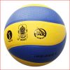 Ballon de volley - Ref 2008154