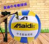 Ballon de volley - Ref 2008176