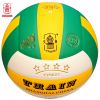 Ballon de volley - Ref 2008194