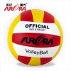 Ballon de volley - Ref 2008221