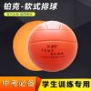 Ballon de volley - Ref 2008225