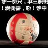 Ballon de volley - Ref 2008274
