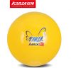 Ballon de volley - Ref 2008281