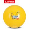 Ballon de volley - Ref 2008295