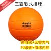 Ballon de volley - Ref 2008310