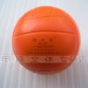 Ballon de volley - Ref 2008322