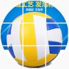 Ballon de volley - Ref 2008332