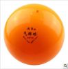 Ballon de volley - Ref 2008487