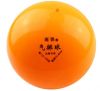 Ballon de volley - Ref 2008557