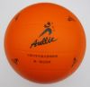 Ballon de volley - Ref 2008695