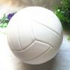 Ballon de volley - Ref 2008710