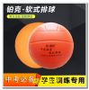Ballon de volley - Ref 2008819