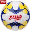 Ballon de volley - Ref 2008948