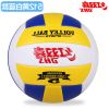 Ballon de volley - Ref 2008998