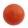 Ballon de volley - Ref 2009003
